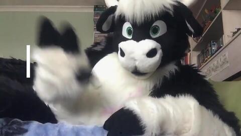 中国毛茸茸视频,探寻东方魅力下的萌态世界