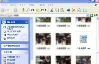 最新爆料 第4页