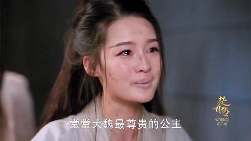 楚乔传淳儿玷污视频,真相揭秘与剧情回顾