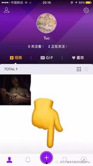 有B视频,揭秘其独特魅力与影响力