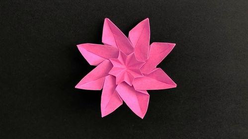 视频折花大全,轻松掌握折花艺术，尽享花艺之美