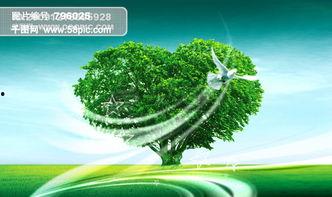 爱心树视频,一部触动心灵的成长寓言